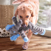 Kong Shakers Cruples Elephant