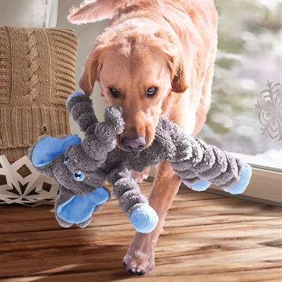 Kong Shakers Cruples Elephant