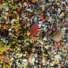 Hareco Ara Seleziona con pellet