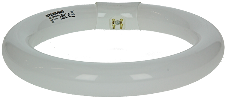 Sylvania 1044510 - Lámpara fluorescente circlin 22w blanco frío 840 | 3 piezas