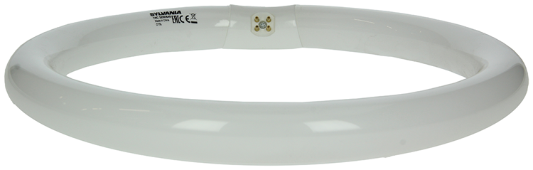 Sylvania 1044511 - Lámpara fluorescente circlin 32w blanco frío 841 | 3 piezas