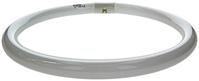 Sylvania 1044512 - fluorescent lamp circlin 40w cold white 842 | 3 pieces