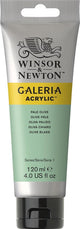 Winsor Newton Galeria acrilico 120 ml oliva pallido
