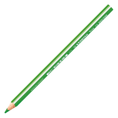 Matite colorate ergonomiche spesse Trio Stabilo - 18 pz.