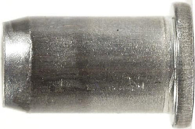 Nueces de gesipa ciego
