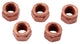 Dresselhaus Thermag Tuertas ranuradas de 6 puntos M8X12 5 PC.