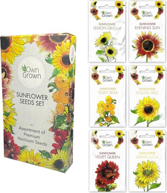 Semillas de girashing de su propia cosecha de cosecha con 6 tipos diferentes de girasoles para envases ecológicos en interiores, jardines y balcones