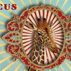 Música Rondo59: circo (pantera rosa).