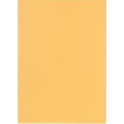 Falken cardboard brochure 250gsm beige