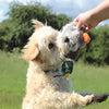 Happy pet migrator pluche wilde eend