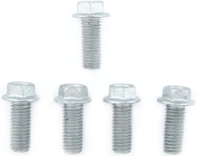 Set di viti TRW 5pcs. M8X1.25