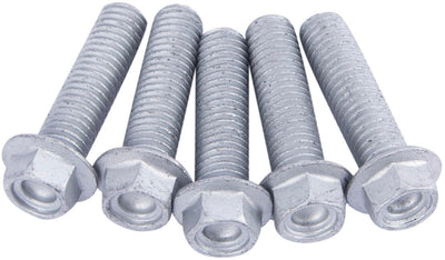 Set di viti TRW 5pcs. M8X1.25