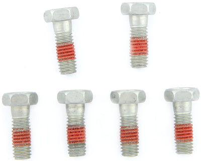 Set di viti TRW 6pcs. M6X1