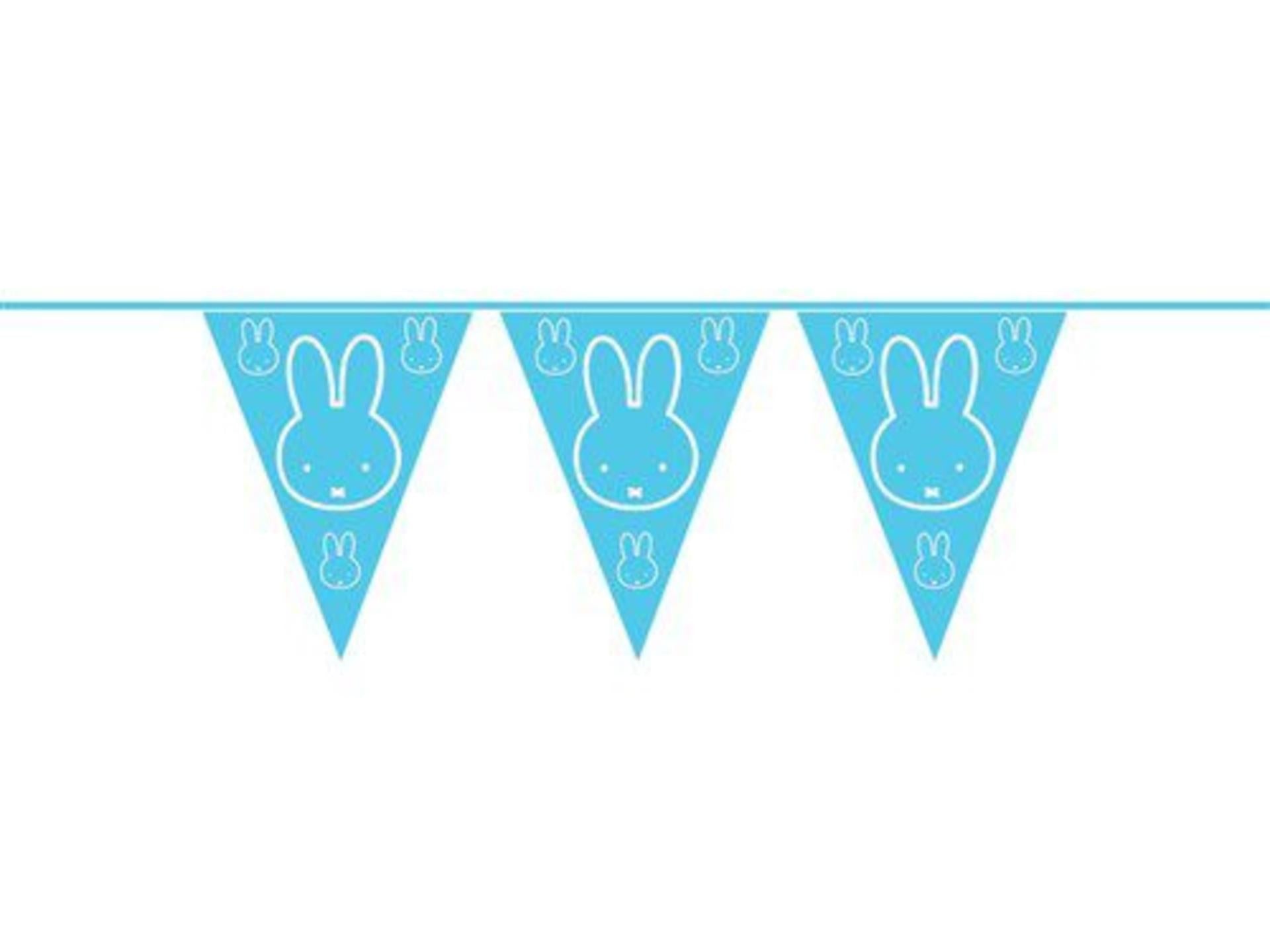 Haza vlaggenlijn pe nijntje baby blauw 10m