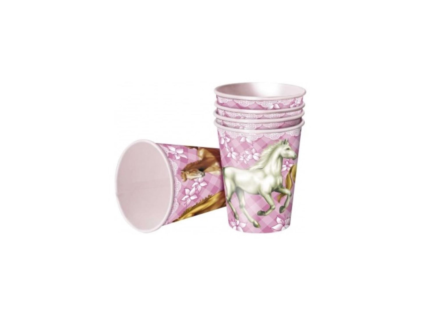 Coppe cavalli, 8 °.