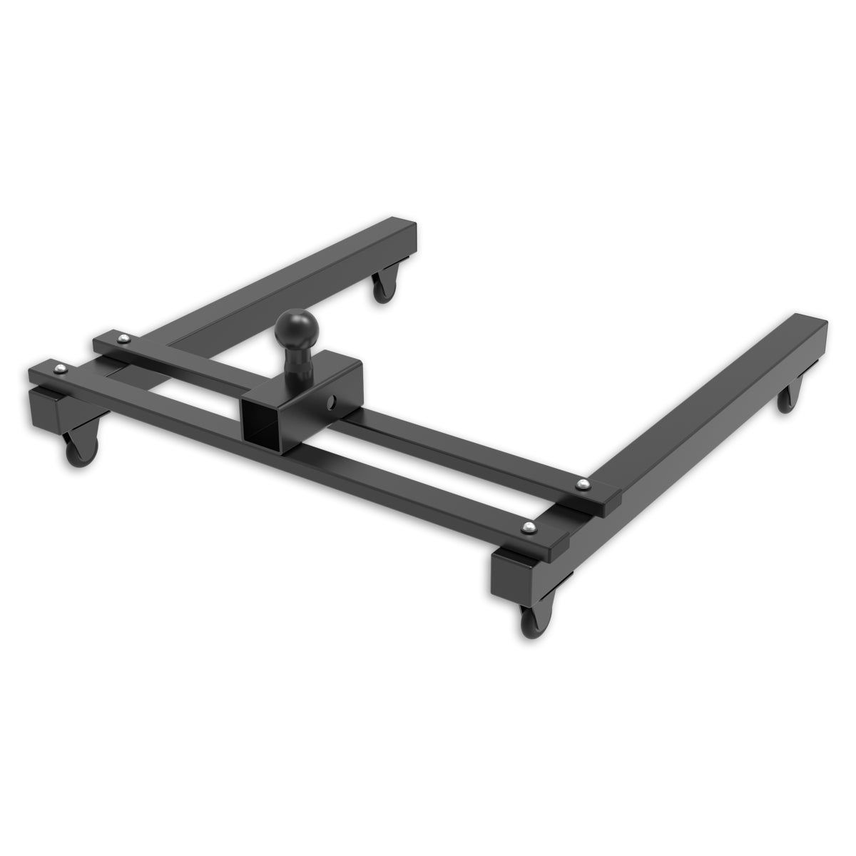 Lynx Presentation Standard per vettore in bicicletta