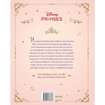 Deltas het magische prinsessen sprookjesboek