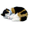 Perfect petzzz perfect petzzz soft lapjeskat