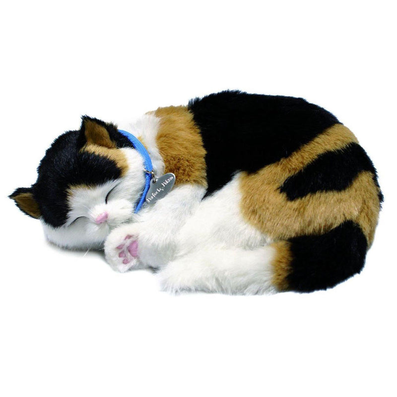Perfect petzzz perfect petzzz soft lapjeskat