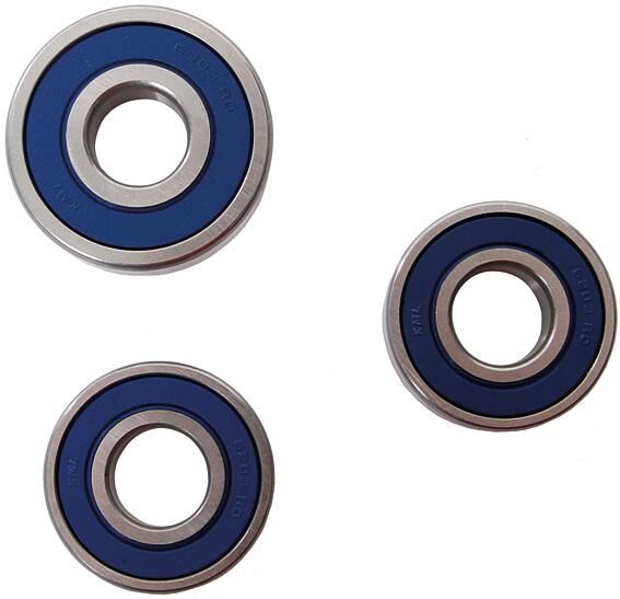 Set di cuscinetti per la ruota da corsa di tutte le palline 25-124 completi