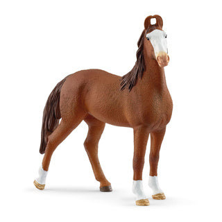 Schleich Horse Club Marwari Yegua 14897