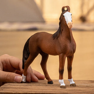Schleich Horse Club Marwari Yegua 14897