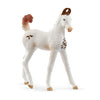 Schleich Horse Club Marwari Veulen 14896