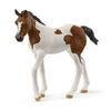 Schleich 14899 paint horse foal | 5 stuks