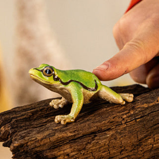 Schleich Wild Life European tree frog 14882