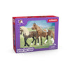 Schleich horse club startersset - 42738