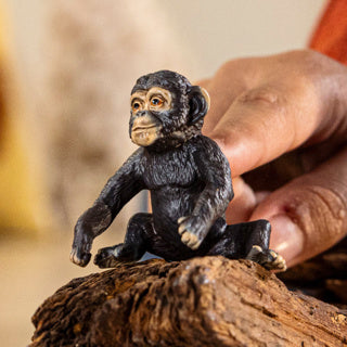 Imp schleich 14884 chanzee cub | 5 stuks