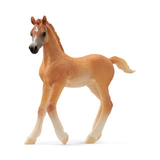 Schleich Horse Club Arabo Veulen 13984