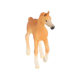 Schleich Horse Club Arabo Veulen 13984