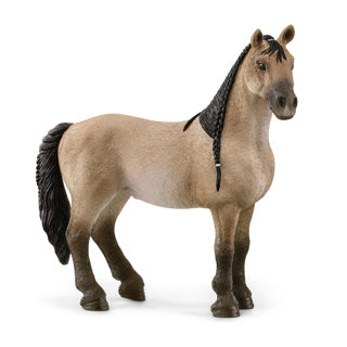 Schleich 13948 CRIOLLO DEFFEFITIVO MARE
