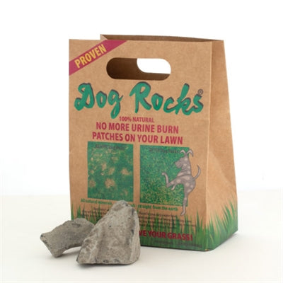 Dog Rocks Rocce per cani