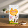 Smolke Cat adult fish rice
