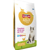 Smolke Cat adult fish rice