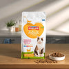 Smolke Cat adult fish rice