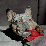 Nylabone Extreme Chew Lobster Filet Mignons flavor - afbeelding 3