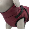 Trixie Dog Jacket pirou con tuig sangria