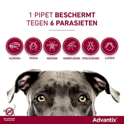 Bayer Elanco Advantix Spot on