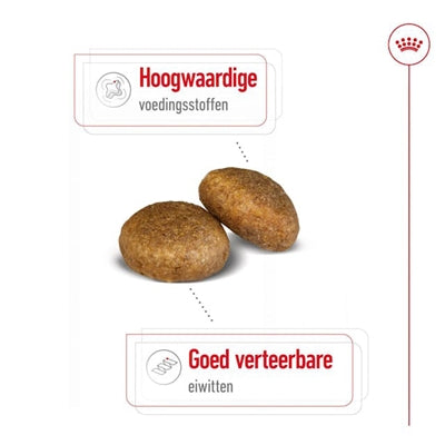 Royal Canin Canin Maxi Adult