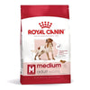 Canino reale canino medio adulto