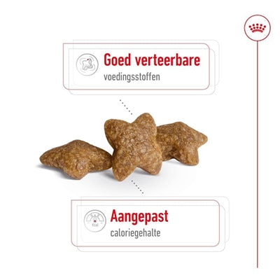 Royal Canin Canin Mini Adulto