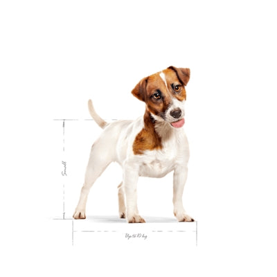 Royal Canin Canin Mini Adulto