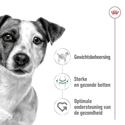 Royal Canin Canin Mini Adulto