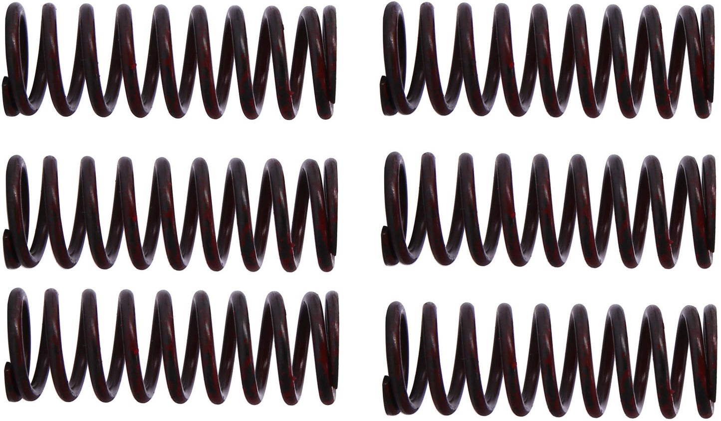 TRW Clutch Spring Kit MEF302-6