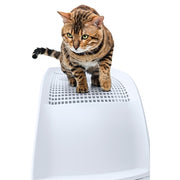 Lattiera iMac Frida con cassetto azzurro - afbeelding 3