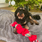 Happy Pet Top N Tail Ropee Christmas Cracker Red - afbeelding 2