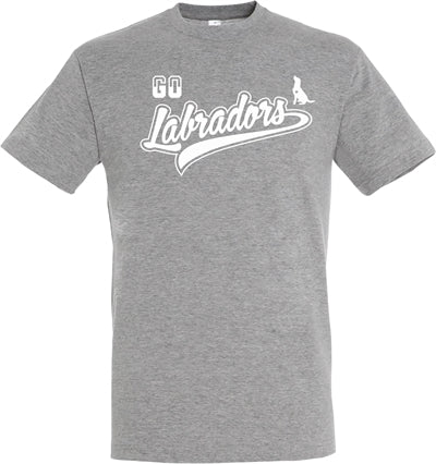 Camiseta goabritors gris
